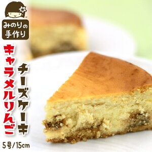 yӂ邳Ɣ[Łz ݂̂z[  L  `[YP[L 5 a 15cm / z[P[L ь S `[Y P[L CHEESE CAKE ĉَq mَq  ĂȂ  f