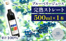 【ふるさと納税】ブルーベリー ジュース ストレート 果汁100％ ブルーベリージュース 500ml 果物 くだもの fruit フルーツ 自社農園 濃厚 果実 果実飲料 ドリンク 果汁 デザート フルーツジュース 完熟ブルーベリー【岩手林業株式会社】 岩手県 滝沢市 送料無料