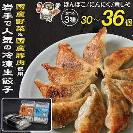 【ふるさと納税】 おすすめ 餃子 冷凍 生餃子 選べる 3種類 / スタンダード・にんにく・青しそ / 国産野菜 国産豚肉 総菜 おかず おつまみ 中華 冷凍食品 ぎょうざ ギョーザ ニンニク ニンニク抜き 青紫蘇 もっちり 焼くだけ 簡単 調理 夕ご飯 ビール 岩手県 滝沢市 送料無料