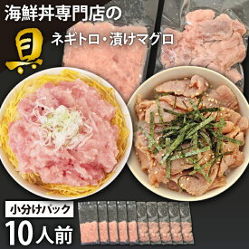 【ふるさと納税】 海鮮丼 具 おすすめ ネギトロ & 漬けマグロ 合計 10人前 / 小分け 海鮮 マグロ まぐろ 鮪 キハダ キハダマグロ メバチ メバチマグロ 目鉢鮪 びんちょう びんちょうまぐろ ビンナガ 海苔巻き ねぎとろ 漬け 簡単 時短 手軽 岩手県 滝沢市 送料無料 十六家