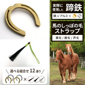 【ふるさと納税】 蹄鉄 おすすめ てい鉄 × 馬のしっぽ ストラップ ／ 馬蹄 馬 うま ウマ しっぽ 尻尾 本物 蹄 インテリア アクセサリー 加工済 クラフト 置物 雑貨 幸運 開運 厄除け 魔除け お守り ラッキー アイテム グッズ 岩手県 滝沢市 送料無料 馬っこパーク・いわて
