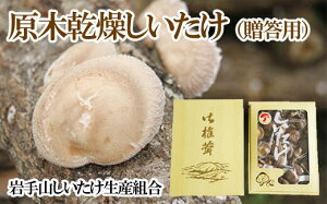 yӂ邳Ɣ[Łz  VC^P ő  ؊ p 400g ^    ő  VC^P ̂  LmR  蕨 v[g Mtg 