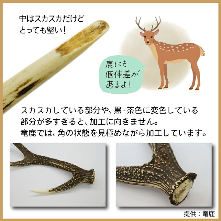 楽天市場】【ふるさと納税】 鹿角 おすすめ 鹿の角 角笛 1個 ／ 鹿 