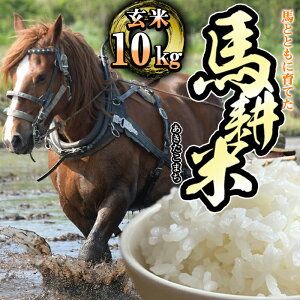 �y�ӂ邳�Ɣ[�Łz �ߘa7�N�Y �������� ���� �n�k�� ���������܂� 10kg �I�ׂ锭���� / 1������ / 2������ / ���Y ���k �R�� ���͂� ���� �������� �n �_�k�n �E�} �͔� ������ ������� �����n �Y