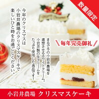 H-019小岩井農場クリスマスケーキ「ホワイトクリーム」5号【飾り(柊)/チョコプレート付き】