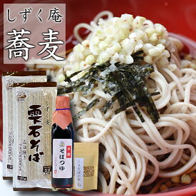 【ふるさと納税】 そば おすすめ しずく庵 お試し 蕎麦 セット 4人前 / 岩手県 雫石町 国産 ソバ そばの実 蕎麦の実 そばつゆ 希釈用 つゆ 麺 乾麺 スーパーフード 保存食 長期保存 常温保存 人気 熟成 もりそば ざるそば かけそば 家庭用 自宅用 送料無料 しずく×CAN