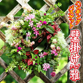 楽天市場 ハンギングバスケット 壁掛け 花 ガーデン Diy の通販