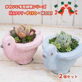 【ふるさと納税】 東北最大級のガーデニング専門店 厳選 かわいい 多肉植物 シリーズ 数量限定 『HAPPY PIYOMORI～ハッピーピヨモリ～』 2個 セット 【花工房らら倶楽部】 ／ 寄せ植え 蜂 ポット 小鳥 インテリア メルヘン 癒し系 国産 岩手県 雫石町 産地直送 送料無料