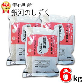 【ふるさと納税】 銀河のしずく 精米 6kg 6キロ 窒素ガス充填梱包 岩手県 雫石町 米 こめ コメ 白米 国産 ごはん ご飯 ブランド米 ブランド 特A おにぎり 弁当 お弁当 ライス 長期保存 鮮度長持ち 小分け お取り寄せ 農家直送 産地直送 送料無料 おすすめ 人気 みのり片子沢