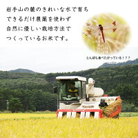 N-003雫石町産「あきたこまち」精米約10kg【定期便:3ヶ月】
