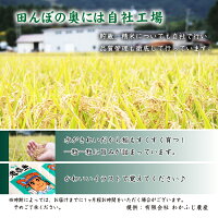 N-003雫石町産「あきたこまち」精米約10kg【定期便:3ヶ月】