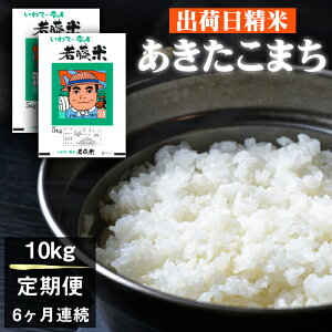 yӂ邳Ɣ[Łz ܂   5kg 10kg 20kg P  ^  oד Y 茧Y lC 茧 Β   R  ͂ CX ӂ  d 