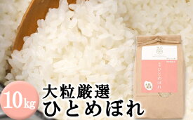 【ふるさと納税】 大粒厳選 ひとめぼれ 精米 10kg 10キロ 白米 米 こめ ごはん ライス 単一原料米 健康食 ヘルシー フード グルメ チャーハン 炒飯 焼きめし ピラフ 家庭用 自宅用 お取り寄せ 岩手県 雫石町 国産 農家直送 産地直送 送料無料 雫石八十八屋