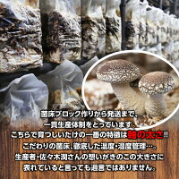 AL-001雫石町産「肉厚生しいたけ」1kg【菌床栽培】