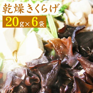 yӂ邳Ɣ[Łz 炰  20g×6 v120g 炰 ̂ LmR  ؎ LNQ {Y Y LNQ Zbg   X[v   mH aH   