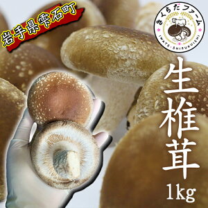 yӂ邳Ɣ[Łz   茧Y   1kg ^ VC^P ő 1L 1kg 1L ̂ LmR   ₳ Y o`  |  Ȃ ϕ ύ  Ă 