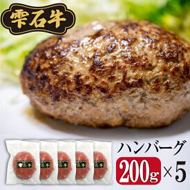 【ふるさと納税】ハンバーグ 生ハンバーグ 5個セット 手ごね 牛肉 雫石牛 冷凍 お肉 肉 牛 保存 お弁当 おべんとう ごちそう パーティー 5個入り 5個 セット 夕飯 夜食 加工品 加工 おすそ分け 焼く ジューシー 子どもが喜ぶ 美味しい 【SSフーズ】岩手県 雫石町 送料無料