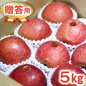 yӂ邳Ɣ[Łz   Iׂ p ƒp 󂠂 Tӂ 5kg ^ ь S Abv ӂ TtW 5L Mtg p d ~ 12 1 2 ʕ t[c VN lC