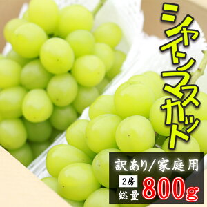 yӂ邳Ɣ[Łz 󂠂 VC}XJbg  2[  800g ȏ ƒp p ^ A 킯 PA }XJbg H ~ ʕ  t[c fU[g Ԃǂ uhE 