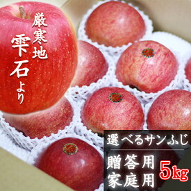 【ふるさと納税】 りんご おすすめ 選べる 贈答用 家庭用 訳あり サンふじ 5kg ／ 林檎 リンゴ アップル さんふじ サンフジ 5キロ ギフト 自宅用 仕送り 冬 12月 1月 2月 果物 フルーツ 新鮮 人気 岩手県 雫石町 農家直送 産地直送 送料無料 季節限定 数量限定 谷地農園