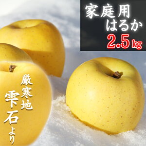 yӂ邳Ɣ[Łz   ƒp ͂邩 2.5kg ^ ь S Abv nJ 2.5L p d ~ 12 1 2 ʕ t[c tbV VN lC Y 茧 Β _ƒ