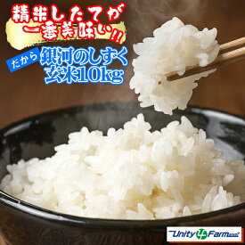 【ふるさと納税】 玄米 おすすめ 岩手県 雫石町 銀河のしずく 10kg 選べる 発送月 ／ 10キロ 国産 米 お米 こめ コメ ライス スーパーフード ヘルシー ご飯 ごはん 人気 産地直送 農家直送 期間限定 数量限定 おにぎり 弁当 送料無料 仕送り 家庭用 自宅用 ユニティファーム