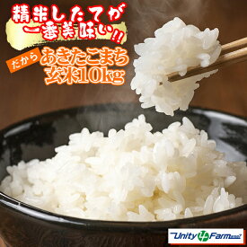 【ふるさと納税】 玄米 おすすめ 岩手県 雫石町 あきたこまち 10kg 選べる 発送月 ／ 10キロ 国産 米 お米 こめ コメ ライス スーパーフード ヘルシー ご飯 ごはん 人気 産地直送 農家直送 期間限定 数量限定 おにぎり 弁当 送料無料 仕送り 家庭用 自宅用 ユニティファーム