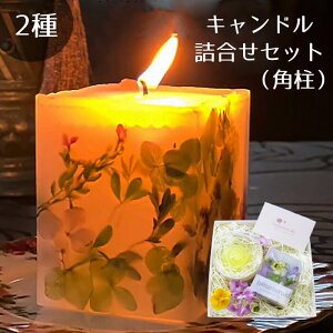 yӂ邳Ɣ[Łz  E\N 낤  hana Lh [Y o KN A} t[ v[g Mtg 蕨 v`Mtg a j Zbg lp pi G XC 2l