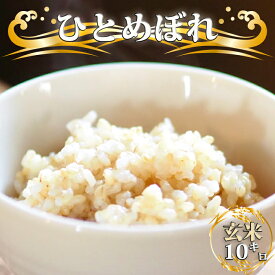 【ふるさと納税】令和7年度産 ひとめぼれ おすすめ 玄米 10kg ／ 国産 岩手県産 雫石町産 米 こめ お米 ライス コメ ご飯 ごはん 健康 ヘルシー 産地直送 農家直送 数量限定 10 キロ 10 kg 東北 岩手県 雫石町 送料無料 【晴山農園】