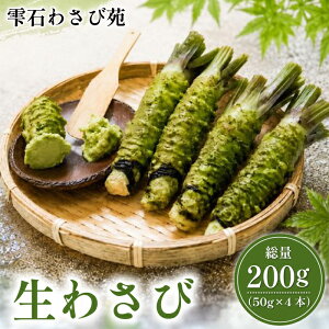 �ԗ�i�摜