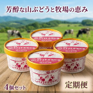 �y�ӂ邳�Ɣ[�Łz�y��������ցz�����܂������q�� �A�C�X�N���[��4�Z�b�g�y�R�Ԃǂ����z�S7��y�z���s�n��F�����z�y4078442�z