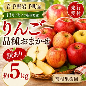 【ふるさと納税】りんご 訳あり 品種おまかせ サンふじ シナノゴールド ジョナゴールド 約5kg 家庭用 令和8年産 先行予約 リンゴ 林檎 ふじ 国産 岩手県産 岩手町産 規格外 不揃い 傷 キズ 果物 フルーツ くだもの 果実 アップル 訳アリ 常温 お取り寄せ 旬 冬 東北 12月発送