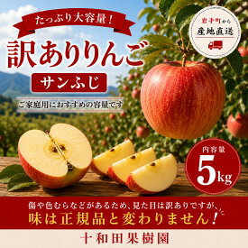 【ふるさと納税】りんご 訳あり サンふじ 約5kg 家庭用 令和8年産 2026年産 先行予約 リンゴ 林檎 サンフジ ふじ 国産 岩手県産 岩手町産 規格外 不揃い 傷 キズ 果物 フルーツ くだもの 果実 アップル 約5キロ 訳アリ わけあり 常温 お取り寄せ 自宅用 旬 冬 東北 12月発送