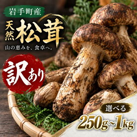 【ふるさと納税】松茸 訳あり 国産松茸 天然松茸 訳あり松茸 まつたけ マツタケ 岩手県産 岩手町産 先行予約 選べる容量 250g 500g 1kg 2026年発送 秋の味覚 天然まつたけ 希少 家庭用 自宅用 サイズ不揃い きのこ 松茸ご飯 焼き松茸 土瓶蒸し 天ぷら 炊き込みご飯 冷蔵配送