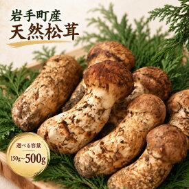【ふるさと納税】 松茸 国産松茸 天然松茸 まつたけ マツタケ 岩手県産 岩手町産 先行予約 選べる容量 150g 250g 400g 500g 産地直送 松茸ご飯 土瓶蒸し 焼き松茸 お吸い物 天ぷら 秋の味覚 旬 希少 野菜 きのこ 王様 山の幸 国産 贈り物 ギフト 高級 2026年発送 冷蔵配送