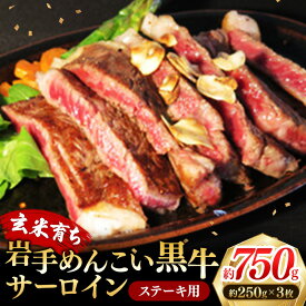 【ふるさと納税】岩手めんこい黒牛 サーロイン ステーキ 約750g 国産 牛肉 肉 焼肉 牛丼 小分け 冷凍 お肉 ※着日指定不可※沖縄県・離島への配送不可
