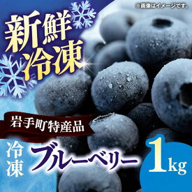 【ふるさと納税】 ブルーベリー 冷凍 国産 大粒 1kg 冷凍ブルーベリー 完熟 冷凍フルーツ 冷凍果物 果物 フルーツ ベリー 岩手県産 岩手町産 スムージー ヨーグルト ジャム ジュース 食物繊維 ビタミンE アントシアニン ジャム 健康 美容 お菓子作り 朝食 おやつ スイーツ