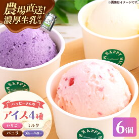 【ふるさと納税】ハッピーさんのアイス 4種類6個入り アイスクリーム カップ スイーツ あいす セット ギフト プレゼント 贈り物 夏 ミルク バニラ ストロベリー ブルーベリー 農場直送 冷凍 岩手県 岩手町