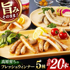 �y�ӂ邳�Ɣ[�Łz�����炿�̃t���b�V���E�B���i�[ 5��l�ߍ��킹 20�{ ���Y �ؓ� �Ⓚ �E�C���i�[ �t ���E�C���i�[ �\�[�Z�[�W �V�R���l�� �Z�b�g �p�Z�� �I�j�I�� �K�[���b�N �u���b�N�y�b