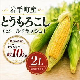 【ふるさと納税】【期間限定】岩手町産 とうもろこし ゴールドラッシュ 選べる容量 約5kg（約13本） 約10kg（約26本） スイートコーン 冷蔵