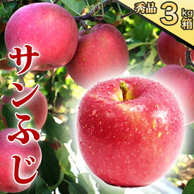 【ふるさと納税】りんご サンふじ リンゴ 秀品 3kg 9-11玉 2026年 11月 12月 3キロ フルーツ 果物 林檎 岩手 紫波 ギフト 贈答 贈答用 贈り物 プレゼント 【予約受付中 11月下旬から発送予定】