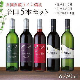 【ふるさと納税】 産地限定 ワインぶどう品種 使用 「自園自醸ワイン紫波辛口5本セット」 ふるさと納税 紫波町産 テロワール ワイン （AL035）