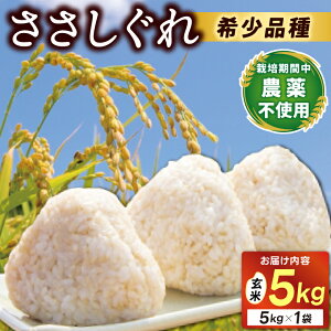 yӂ邳Ɣ[Łz_V 10{Jn\^ ߘa7NY V  5kgiāj ӂ邳Ɣ[  茧 (DE008)