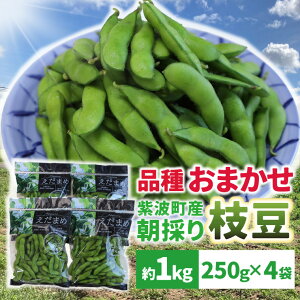 yӂ邳Ɣ[ŁzԌ _̂ꂽĎ}1kg(250g×4)^ ` ݖ {̕i ܂ VN Yn ̂  ܂  250g 4 1kg 茧 g(DI008)