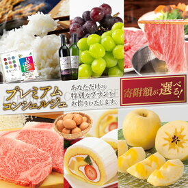 【ふるさと納税】後から選べる 「コンシェルジュ コース」 紫波町 提案型 （DS000）