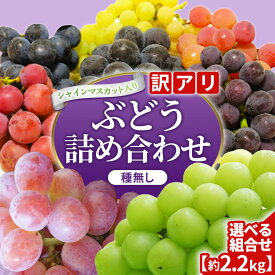 【ふるさと納税】＼訳あり ご家庭用／ 2026年産 ぶどう 食べ比べ 「シャインマスカットと旬の大粒ぶどうの詰合せ」3~5房 種なし品種 選べる 種類 内容量【農家さんおまかせ・直送】 先行予約 くだもの ふるーつ 取り寄せ 詰め合わせ 種無し 種なし セット (DM004/006)