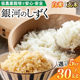 【ふるさと納税】 令和7年産 ＼選べる種類・サイズ 生産地域限定ブランド米／「 銀河のしずく ( 5kg | 10kg | 20kg | 30kg ) ( 精米 | 玄米 ) 」低農薬栽培米 生産者直送