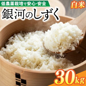 yӂ邳Ɣ[Łz ߘa7NY _IׂށETCY Ynuhā^u ͂̂ ( 5kg | 10kg | 20kg | 30kg ) (  |  ) v_͔| YҒ