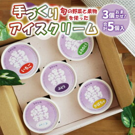 【ふるさと納税】アイスクリーム 5種セット 手作り 詰め合わせ ギフト セット アイス 人気 国産 バニラ ぶどう 野菜 果物 フルーツ ぶどうの樹 紫波町 (EV001)