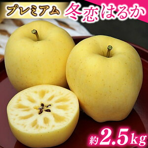 yӂ邳Ɣ[Łzs\ ʌ聚  ͂邩 uv~A ~ 2.5kgv x16xȏ ۏ ~͂邩   ь  Mtg t[c y~z(AI021)